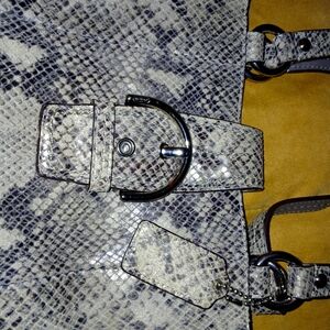 Rare Vintage Coach Limited Snakeskin Bag